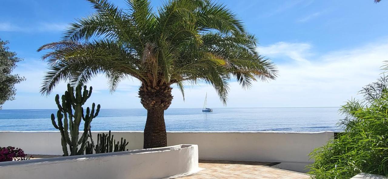 Loro Verde Playa Honda  Exteriör bild